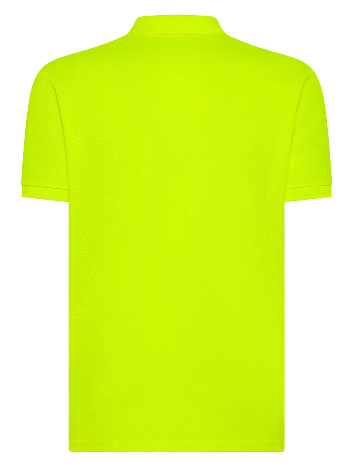 Immagine Evolution Polo