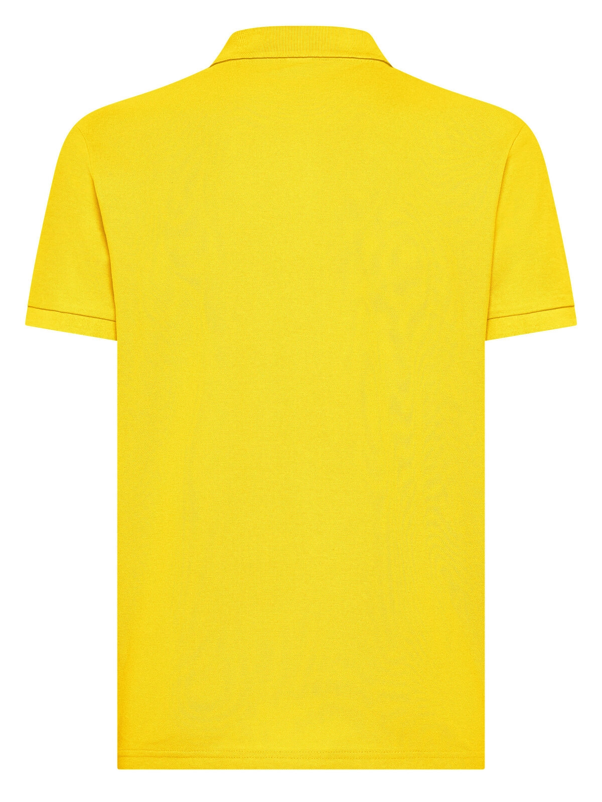 Immagine Evolution Polo