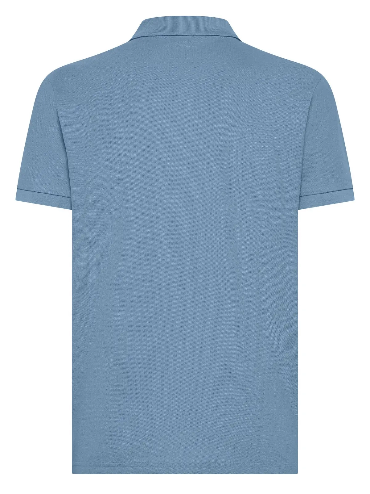 Immagine Evolution Polo