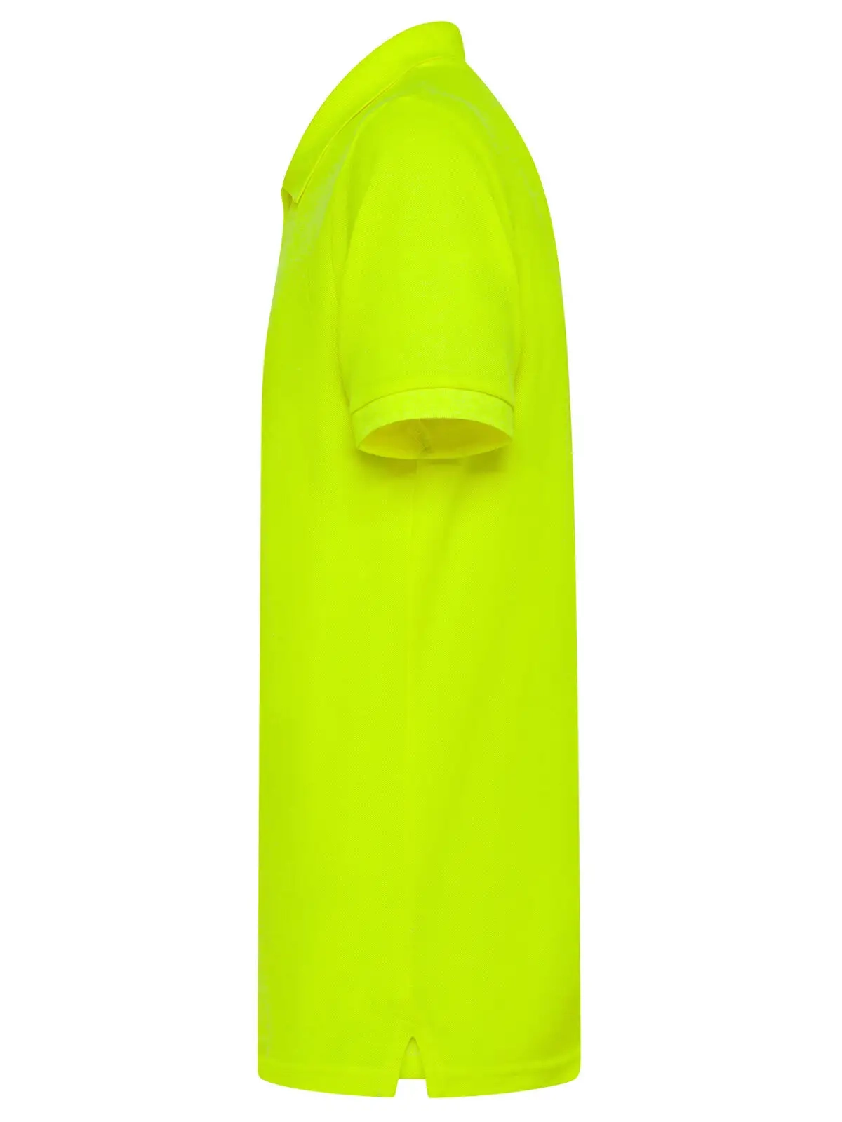 Immagine Evolution Polo