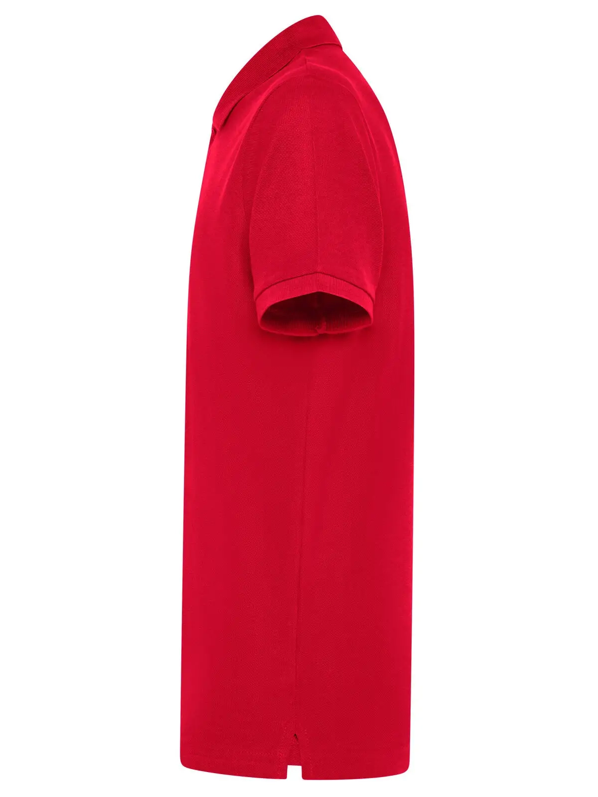 Immagine Evolution Polo