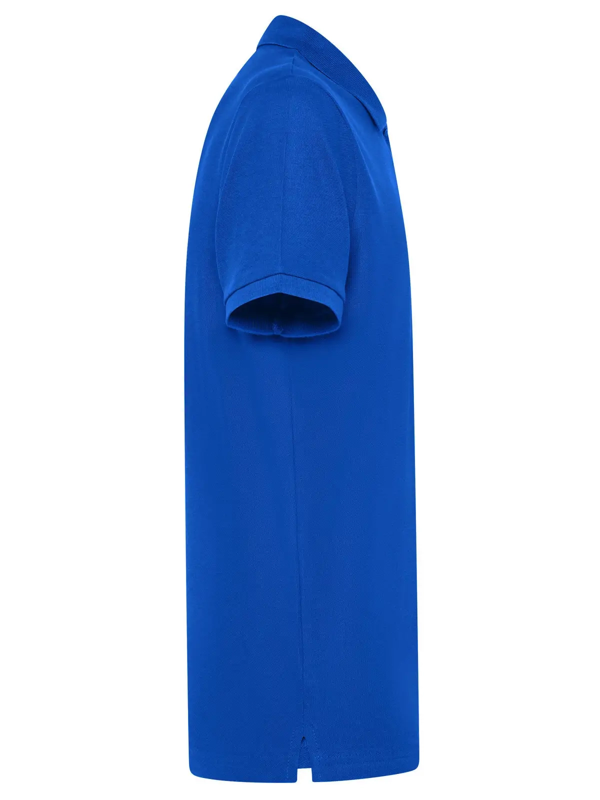 Immagine Evolution Polo