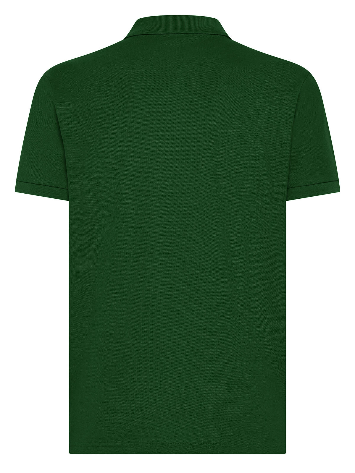 Immagine Evolution Polo