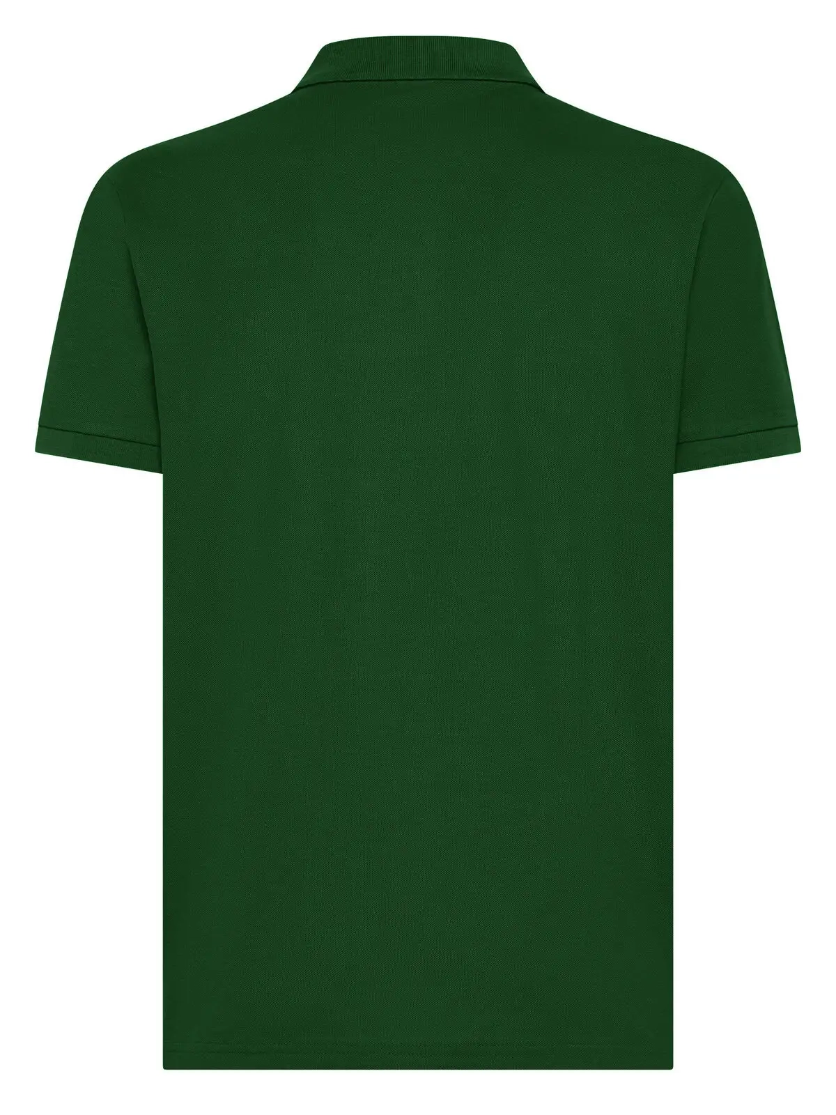 Immagine Evolution Polo