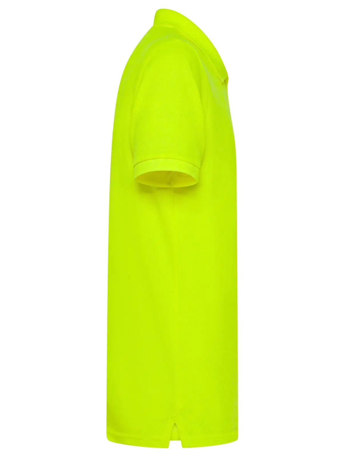 Immagine Evolution Polo