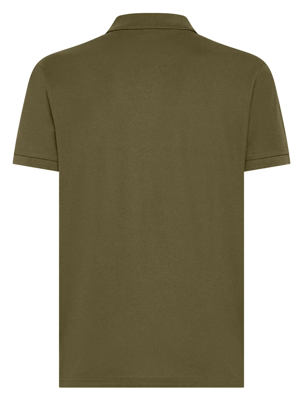 Immagine Evolution Polo