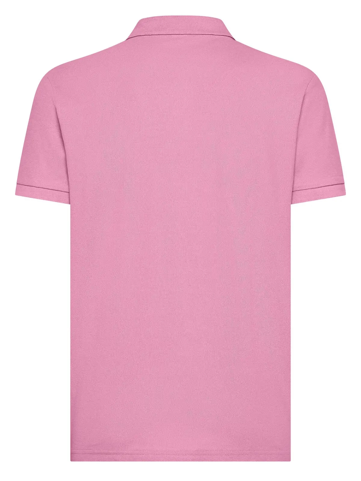 Immagine Evolution Polo