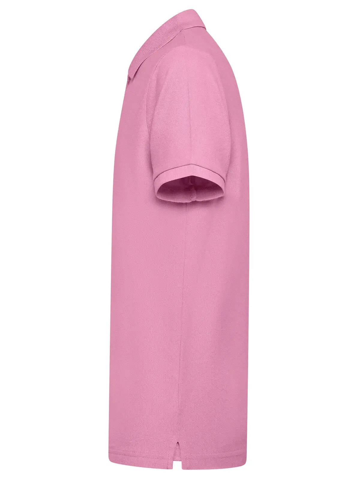 Immagine Evolution Polo