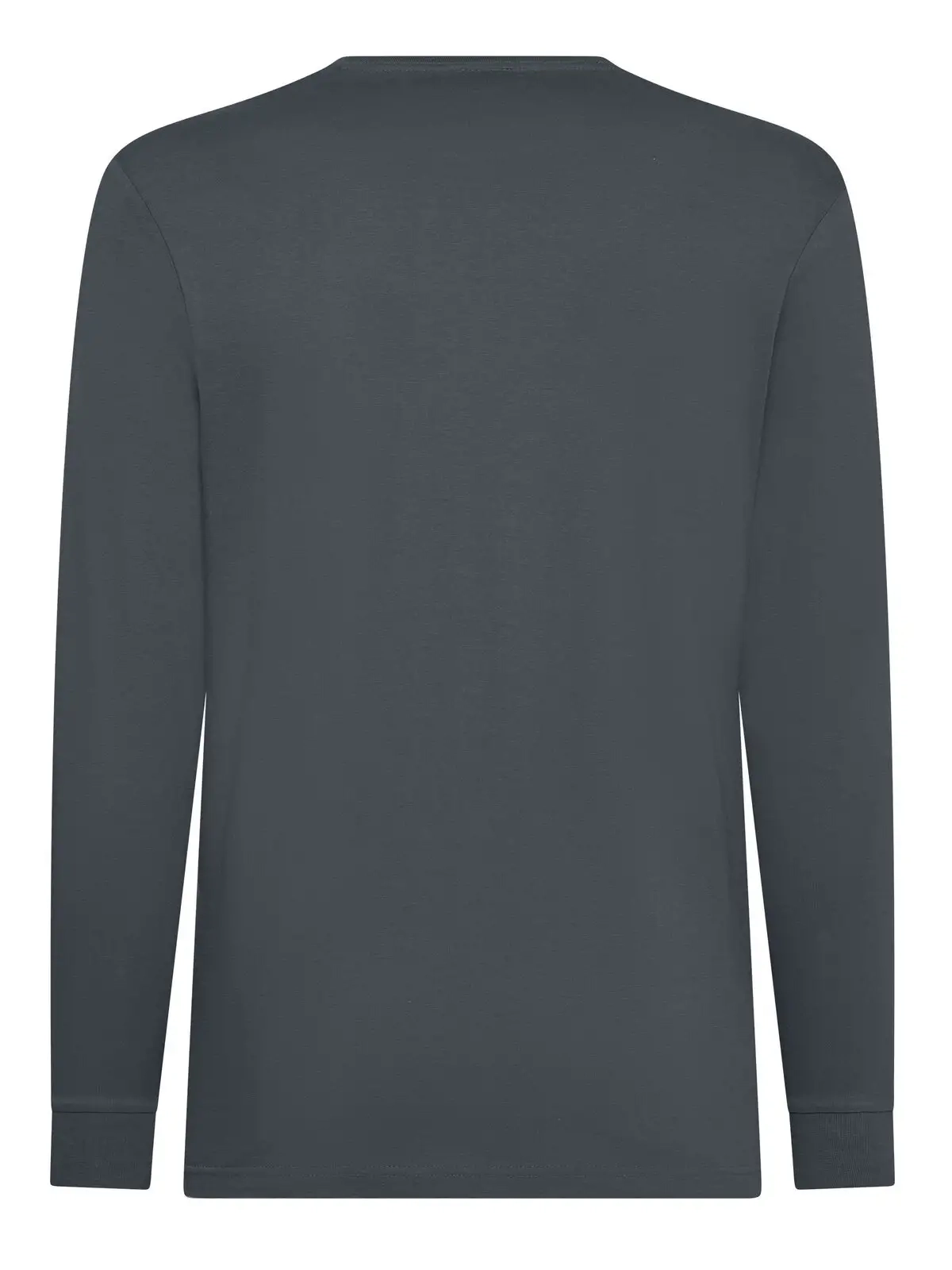 Immagine T-shirt manica lunga uomo Evolution T