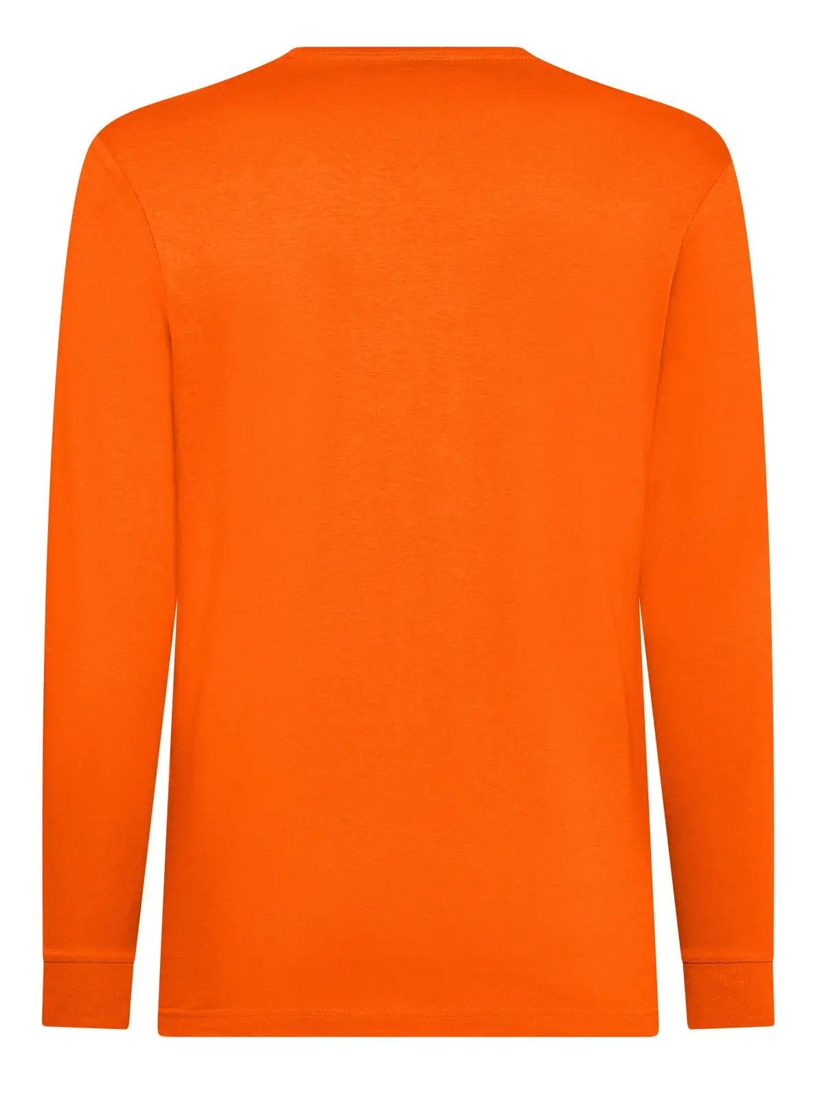 Immagine T-shirt manica lunga uomo Evolution T