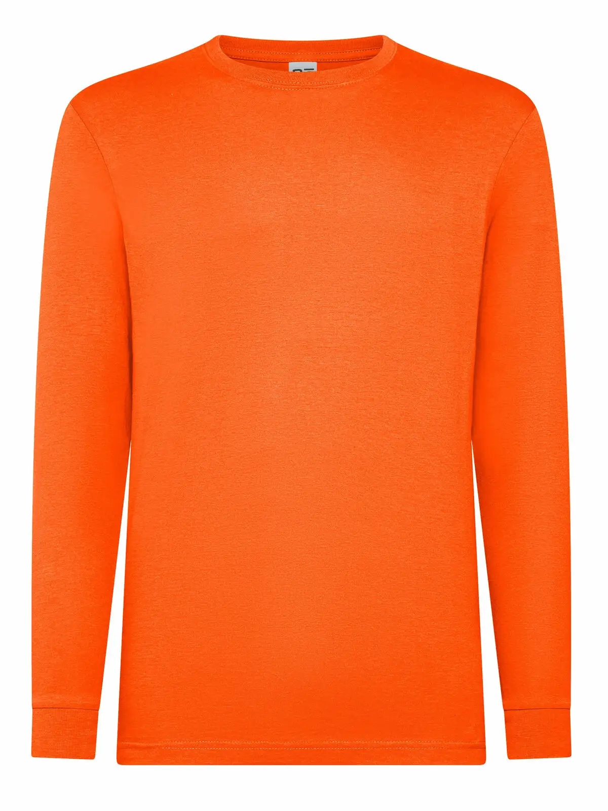 Immagine T-shirt manica lunga uomo Evolution T