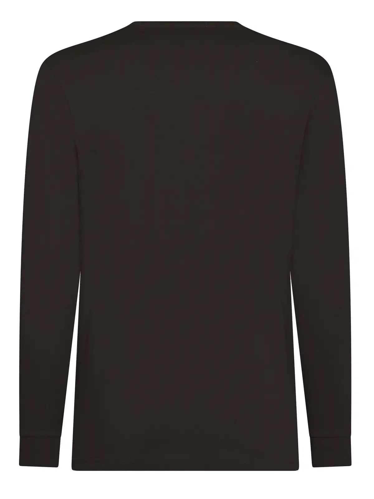 Immagine T-shirt manica lunga uomo Evolution T