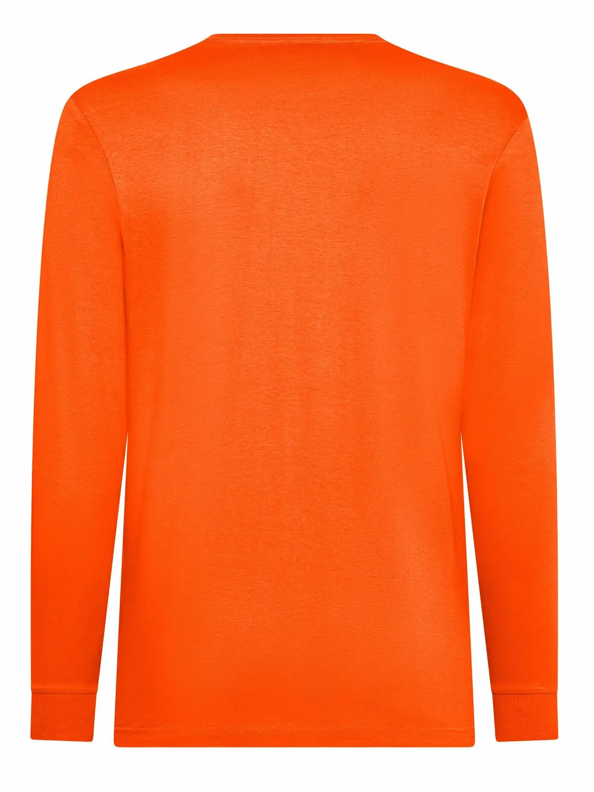 Immagine T-shirt manica lunga uomo Evolution T