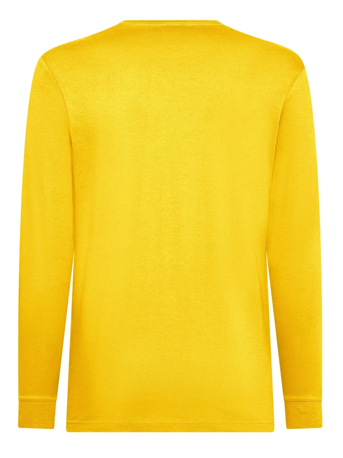 Immagine T-shirt manica lunga uomo Evolution T