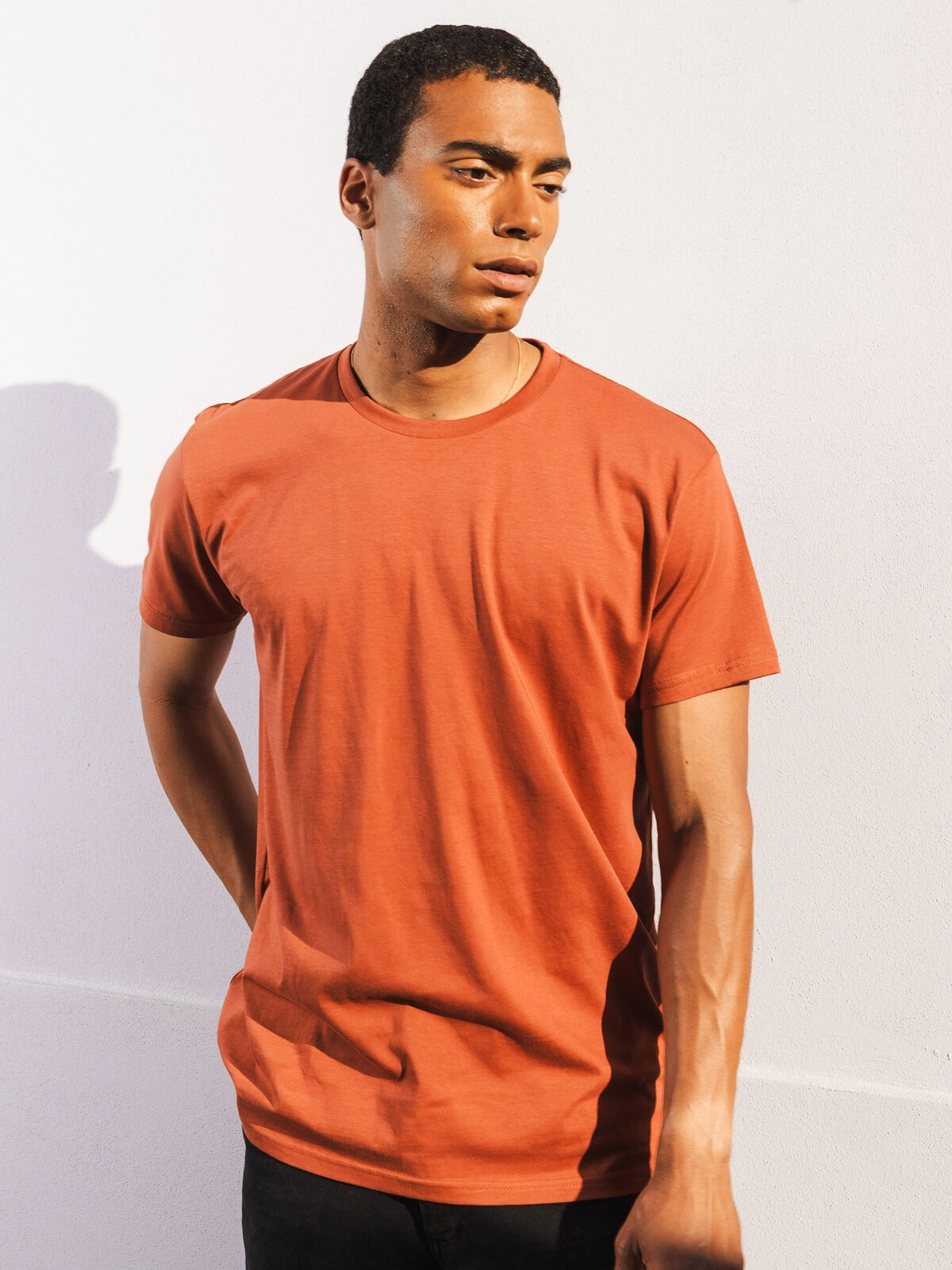 Immagine T-shirt - Moon