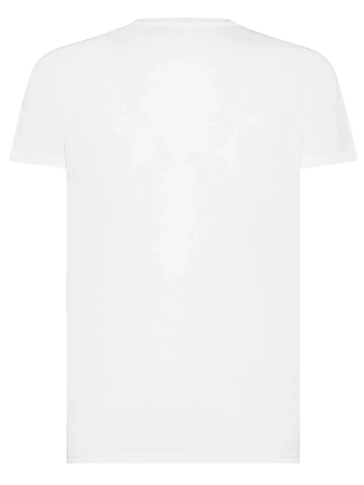 Immagine T-shirt sport unisex Evolution Cotton Touch