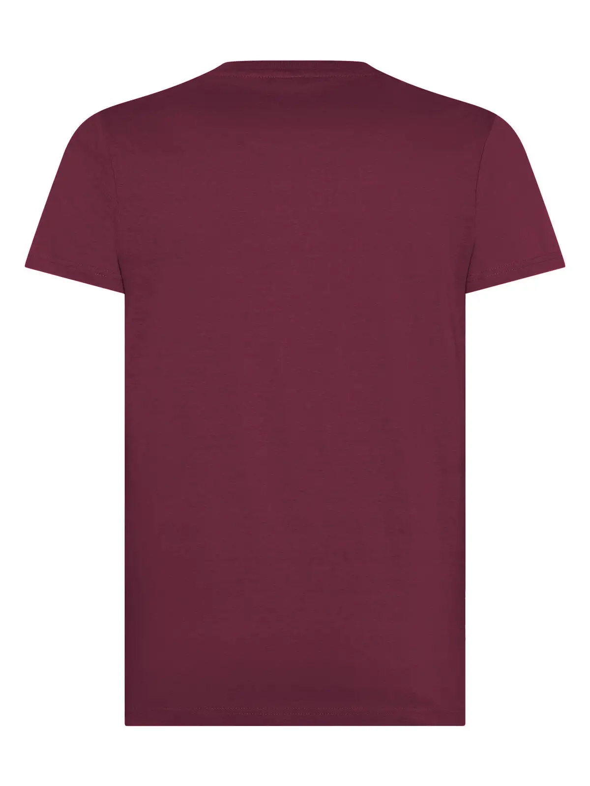 Immagine T-shirt unisex Evolution T