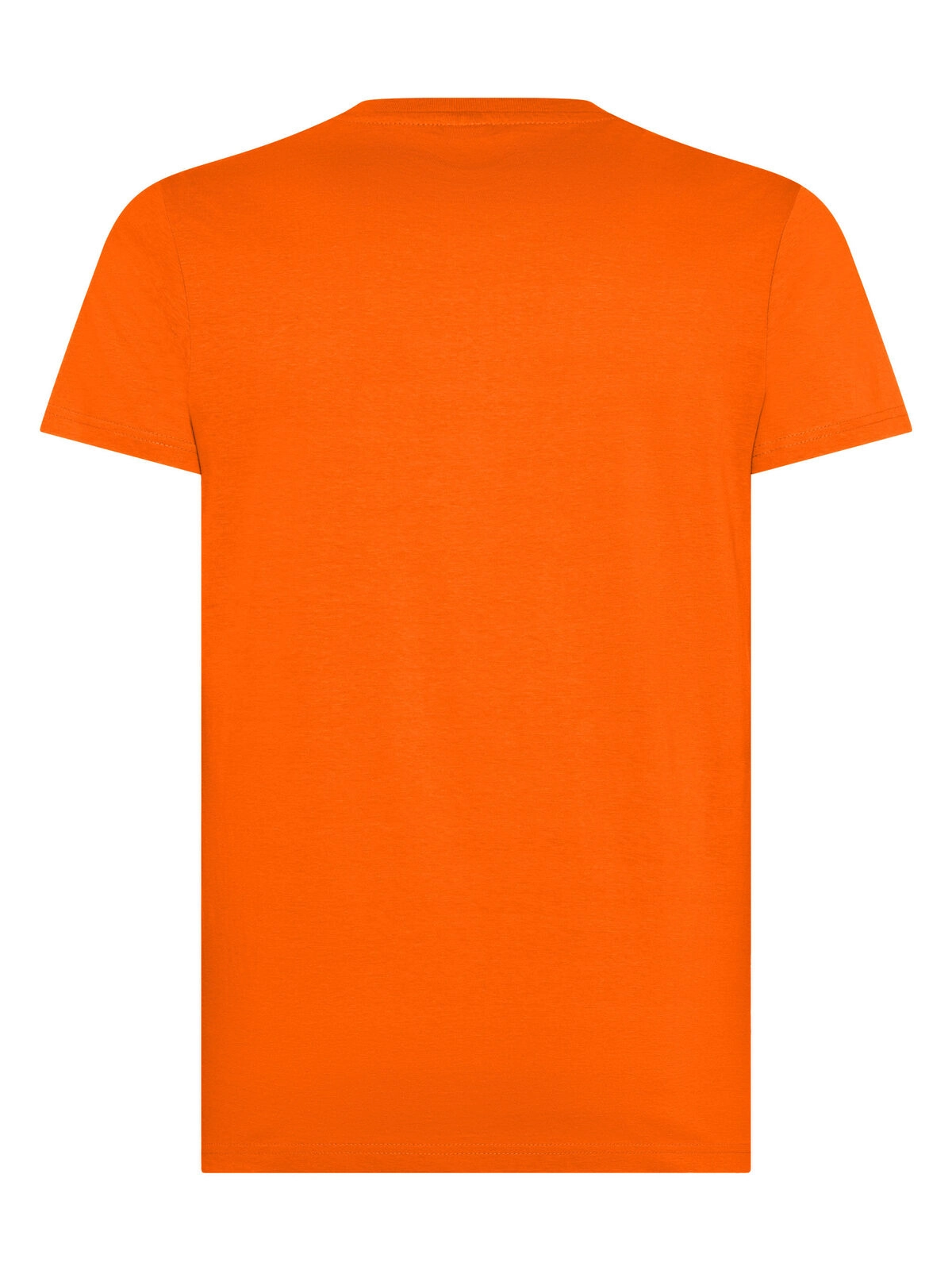 Immagine T-shirt manica corta, tessuto ring-spun single jersey, collo basso con cucitura a doppio ago