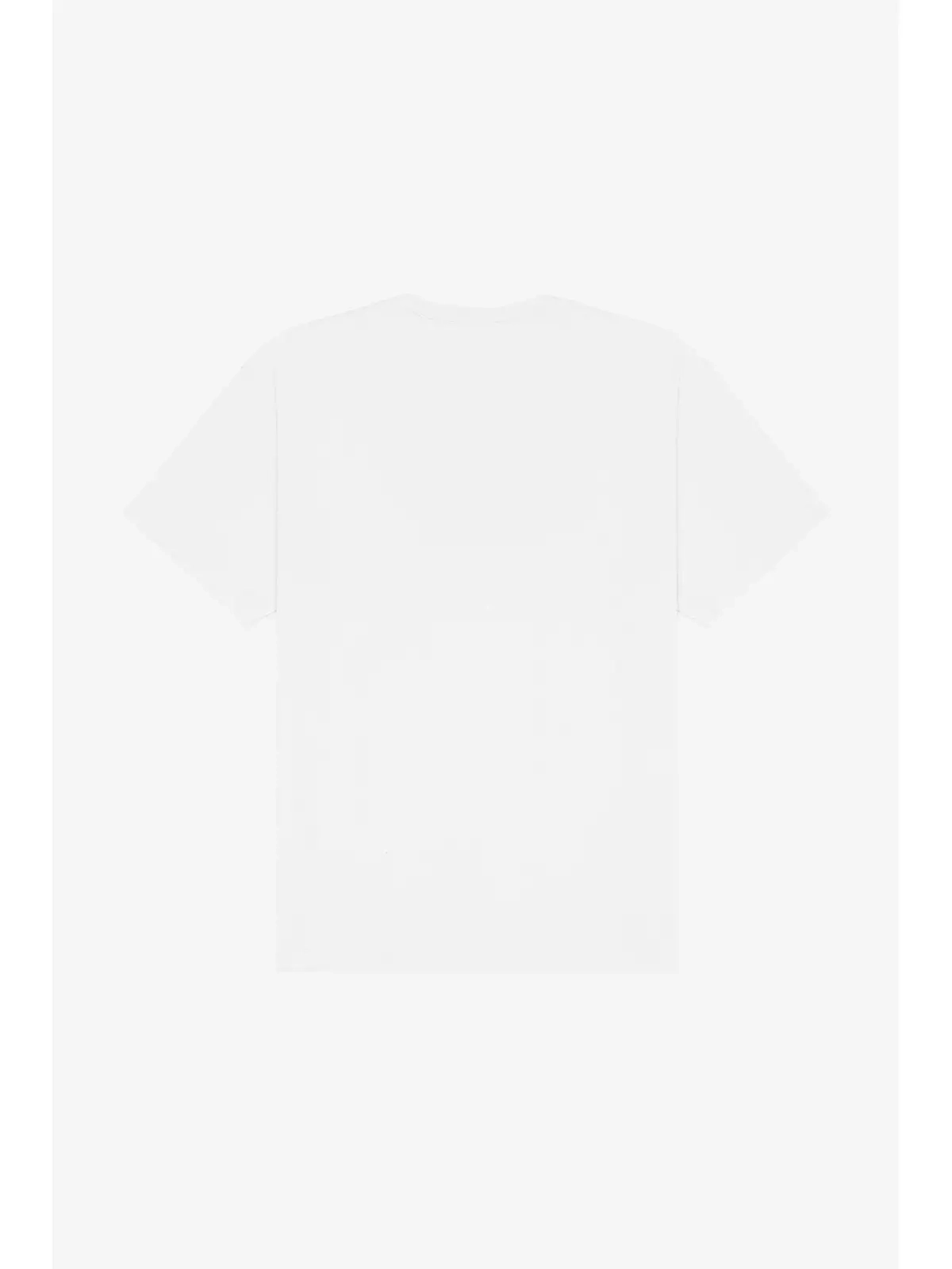 Immagine Unisex Short Sleeve Heavy Tee