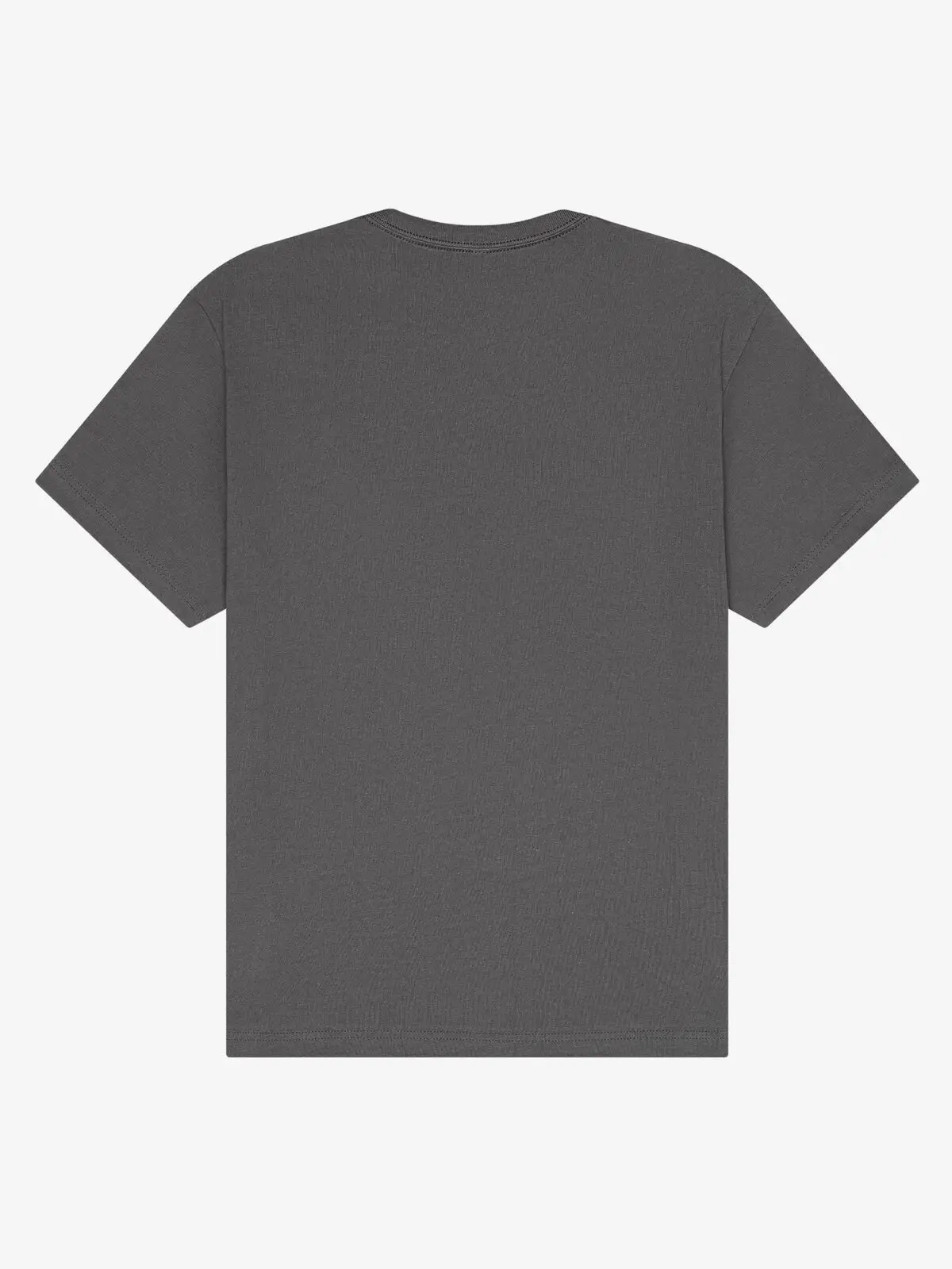 Immagine Unisex Short Sleeve Heavy Tee