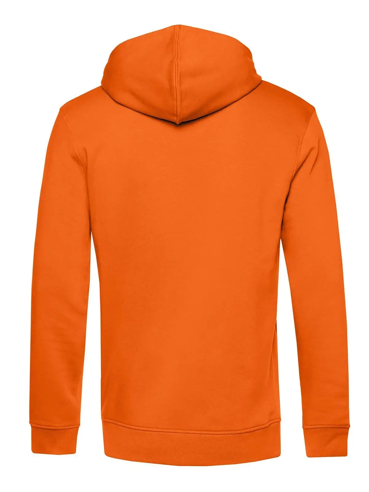 Immagine Inspire Hooded