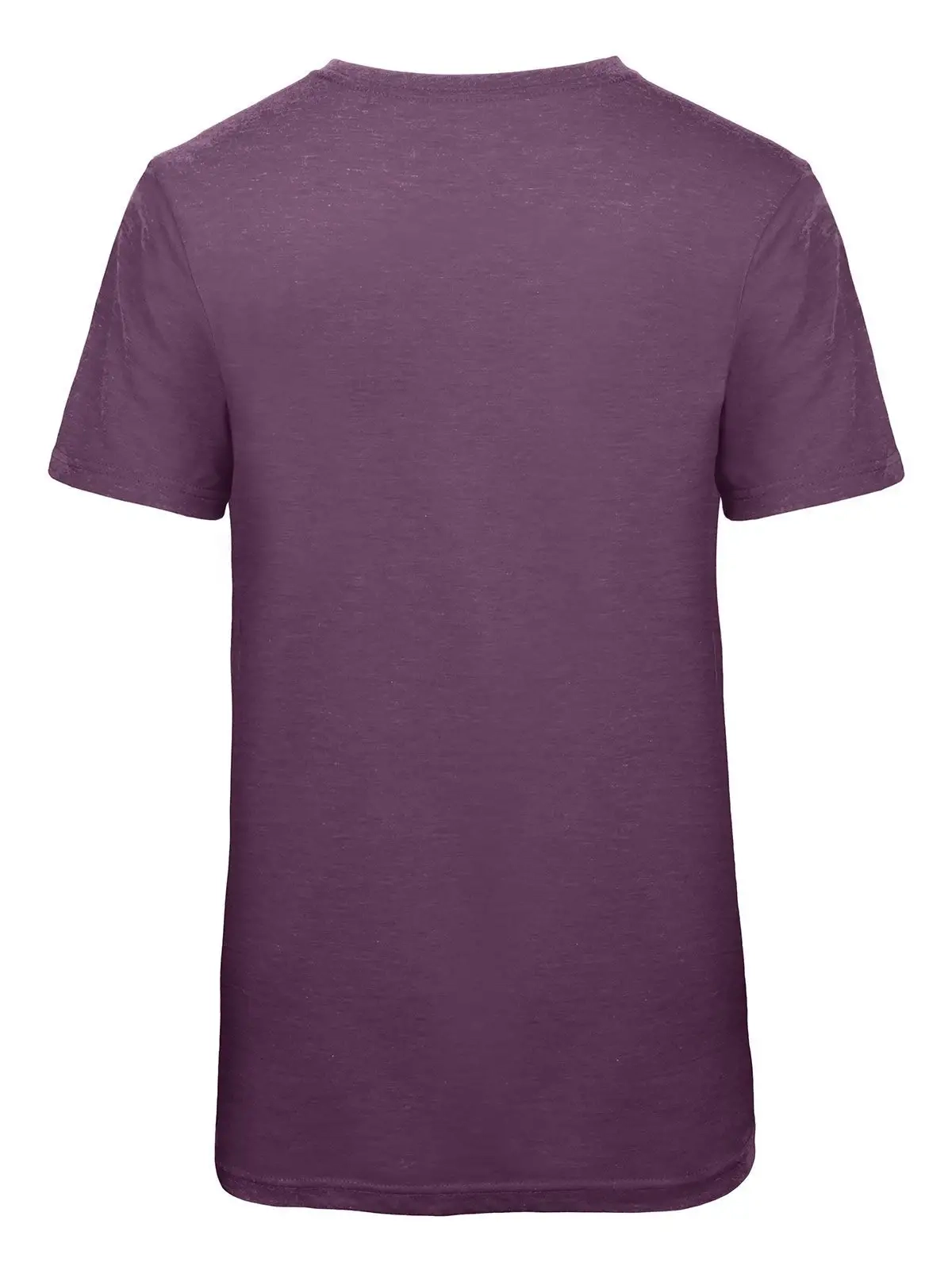 Immagine T-shirt Triblend Uomo