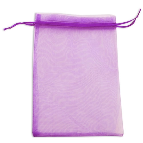 Immagine BORSA REGALO ORGANZA 24X17CM 