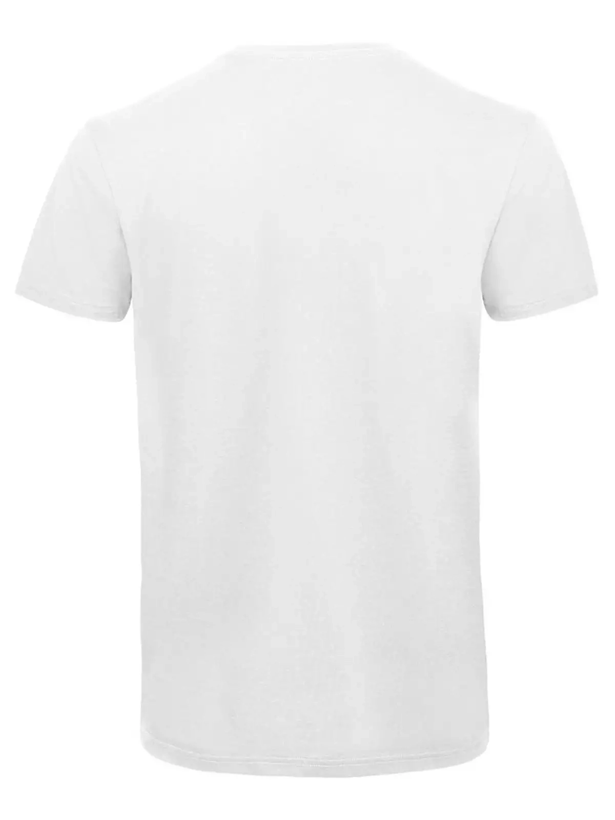 Immagine T-shirt Inspire V T Uomo