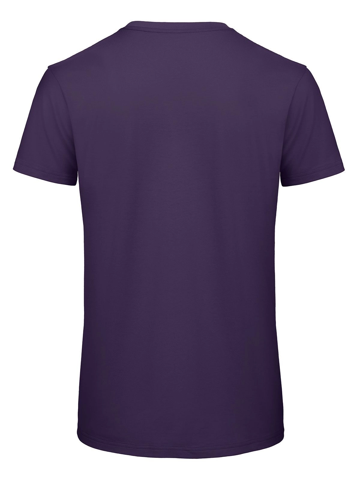 Immagine T-shirt Inspire T Uomo