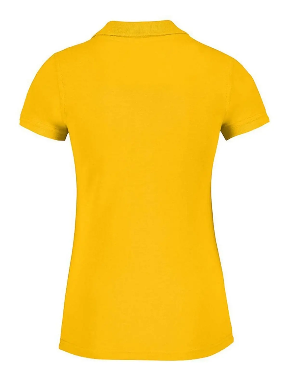 Immagine Safran Timeless Women