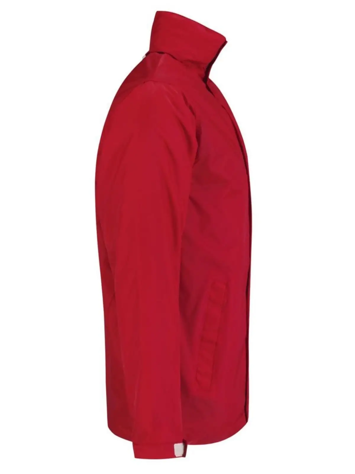 Immagine Ocean Shore