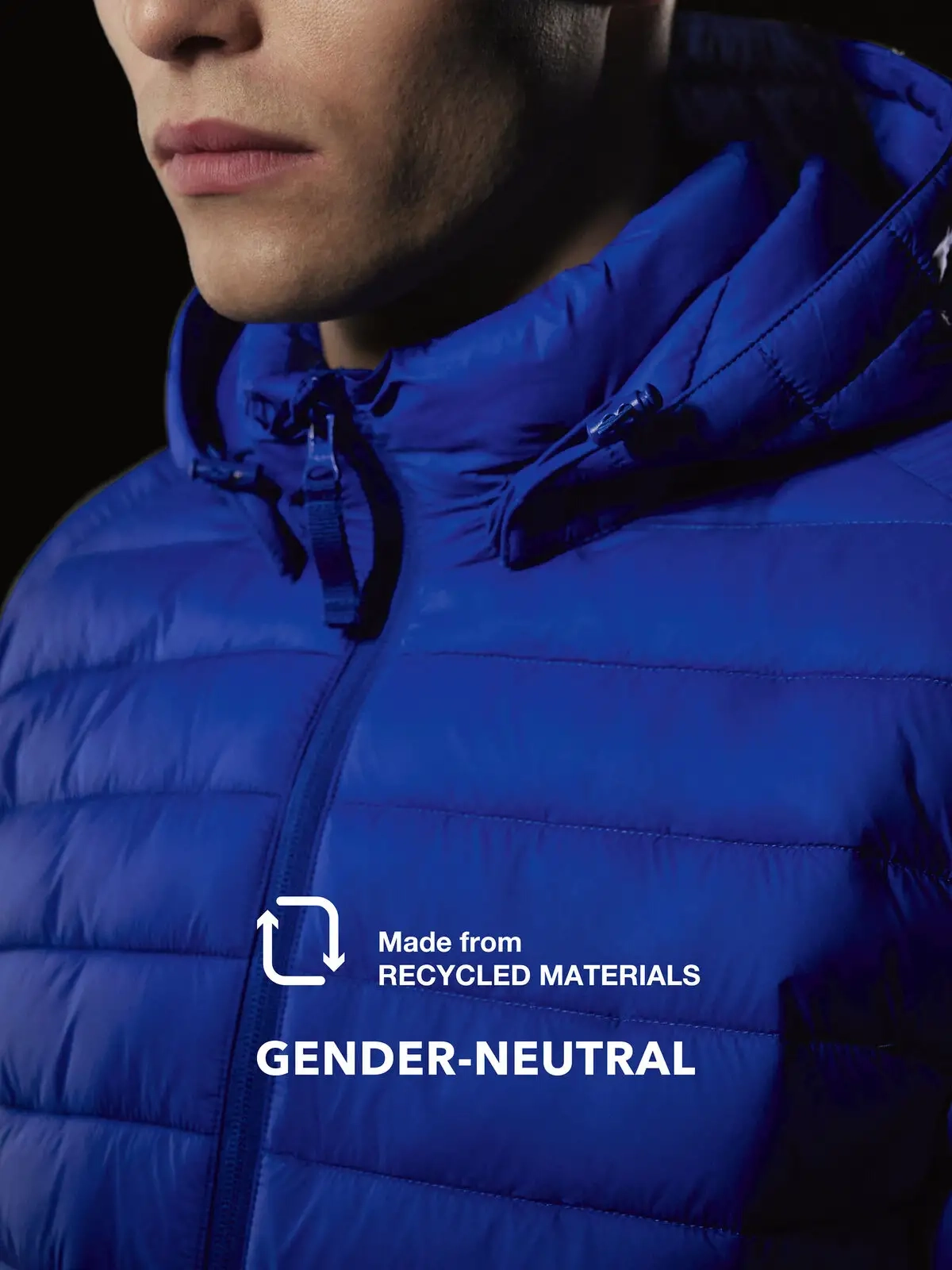 Immagine Reset Puffer