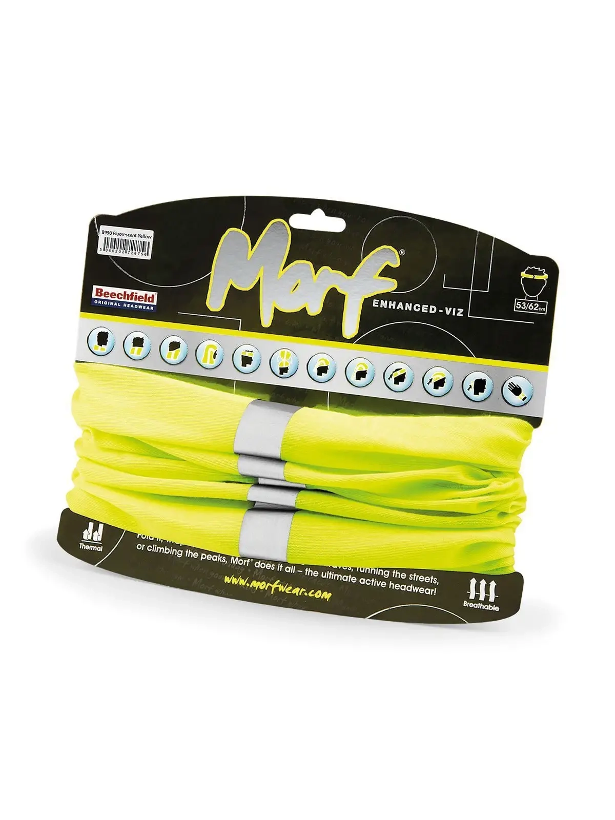 Immagine Morf Enhanced-Viz