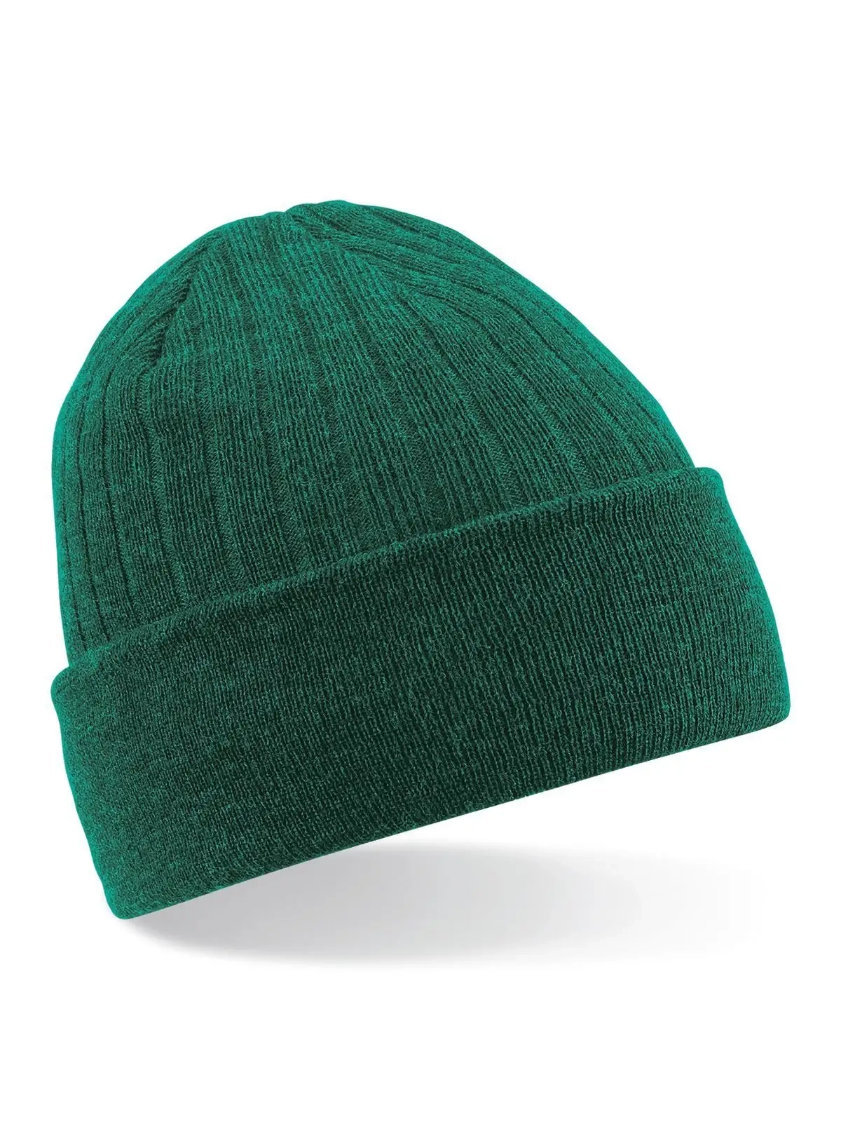 Immagine Thinsulate Beanie