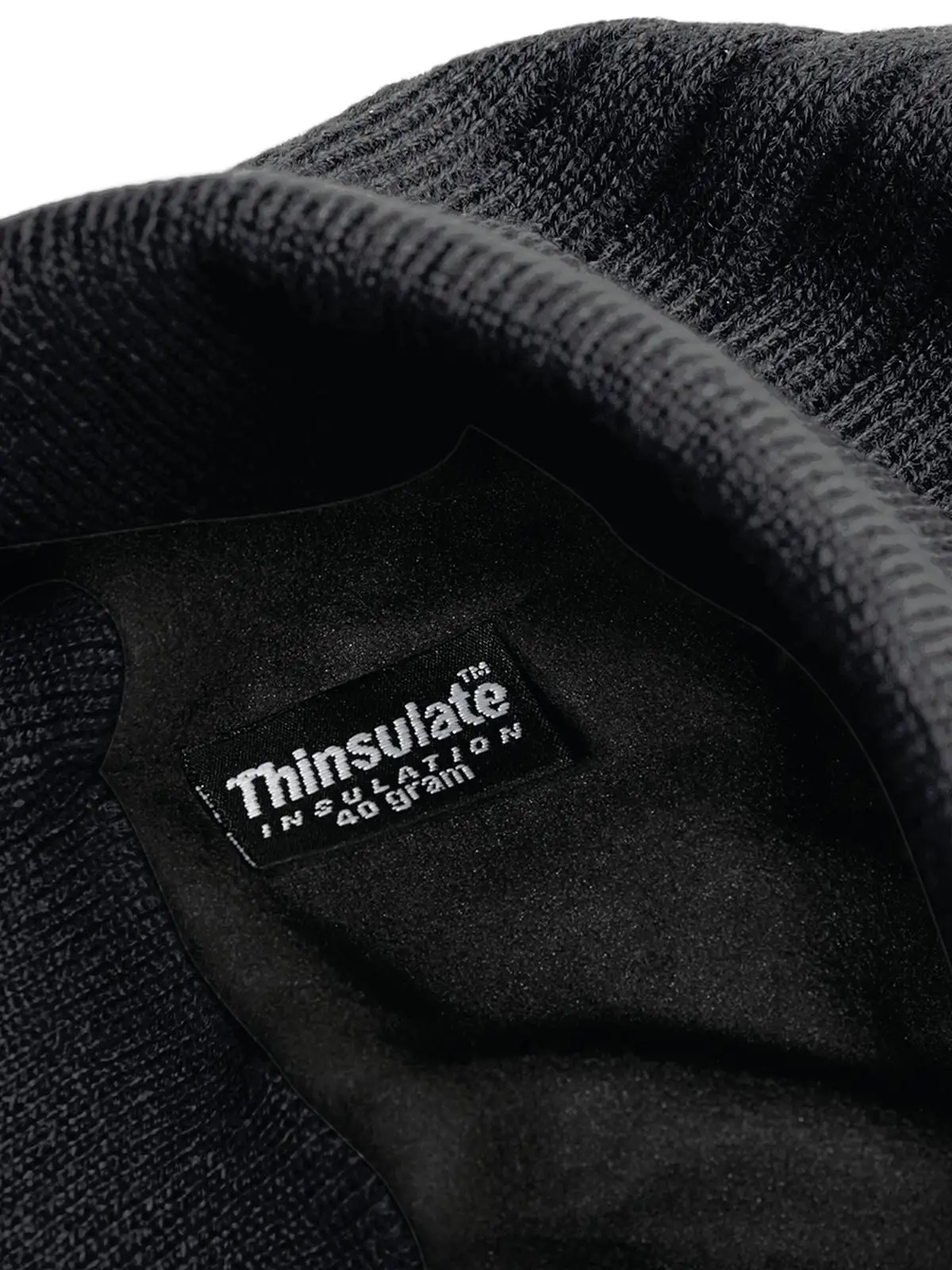 Immagine Thinsulate Beanie