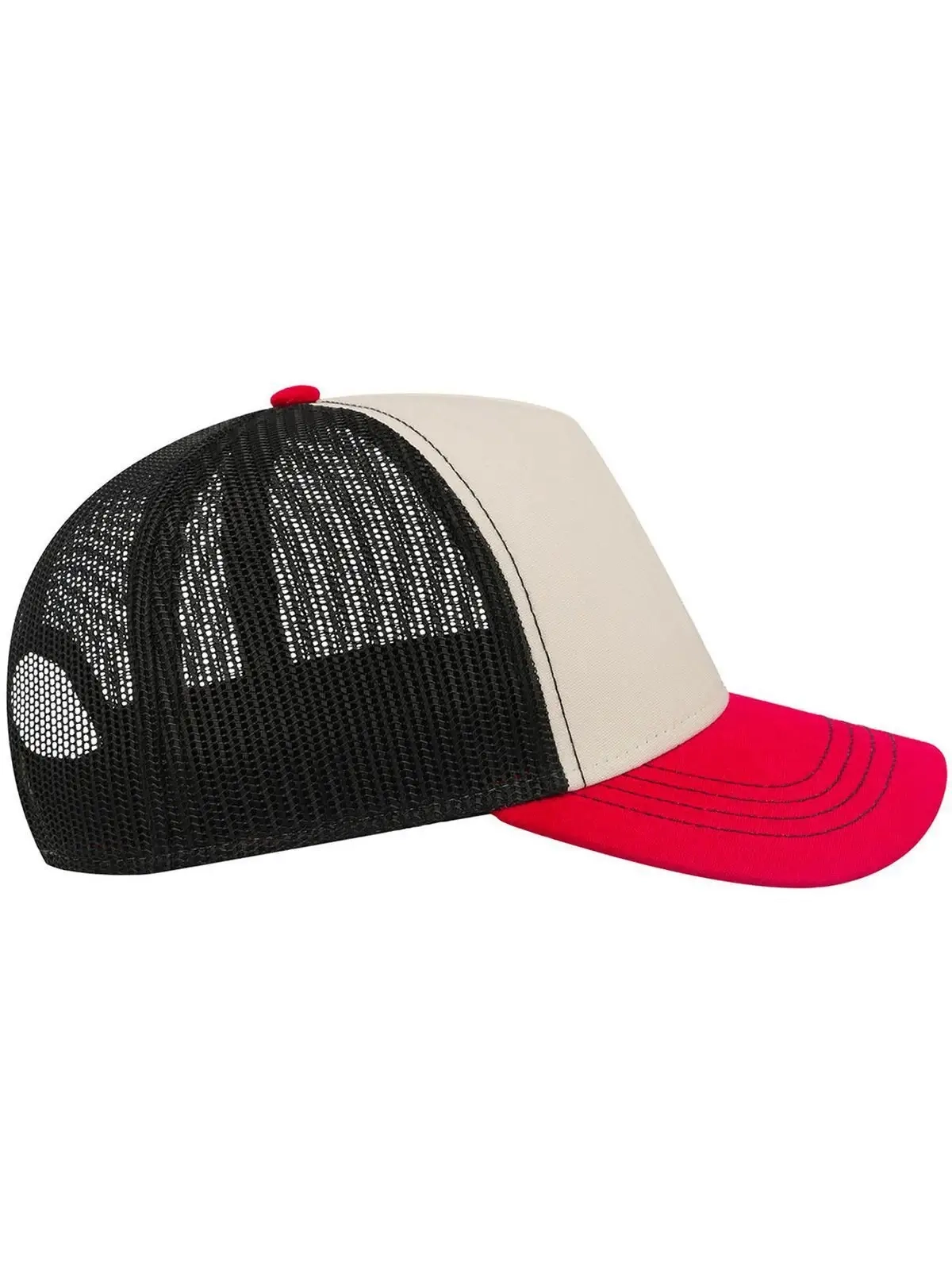 Immagine Rapper Canvas