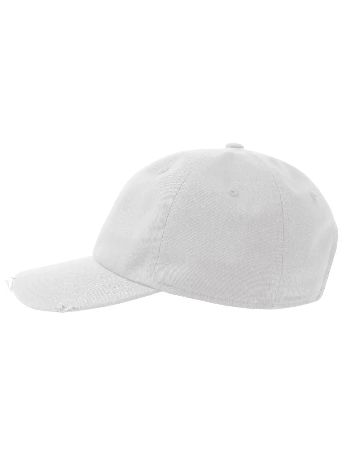 Immagine Dad Hat Destroyed-S