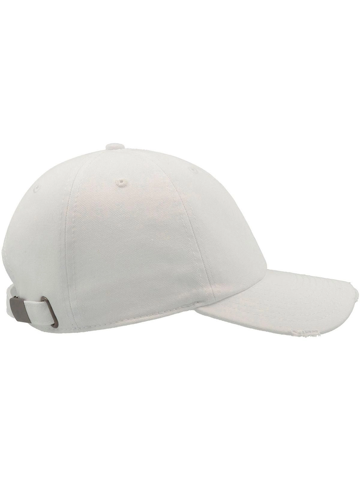 Immagine Dad Hat Destroyed
