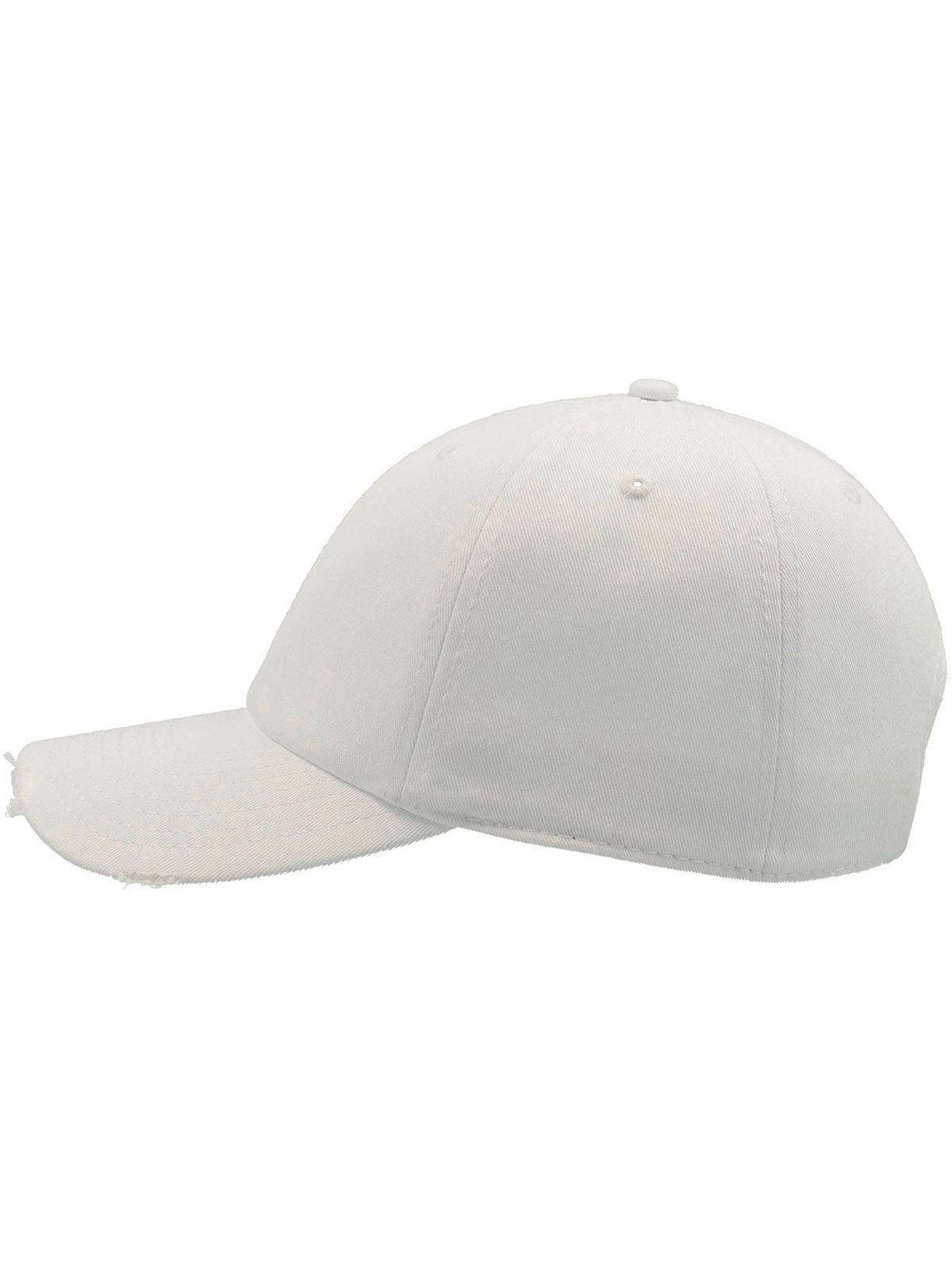 Immagine Dad Hat Destroyed
