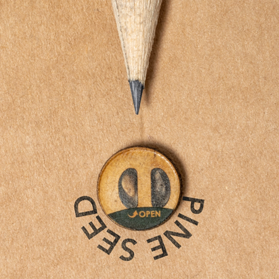 Immagine Matita Semi Etesio