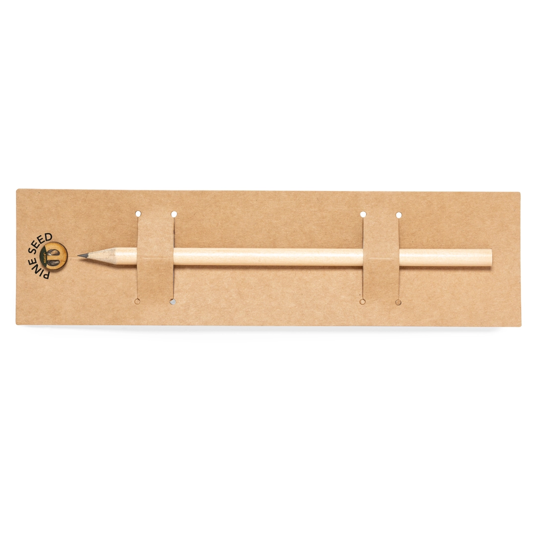 Immagine Matita Semi Etesio