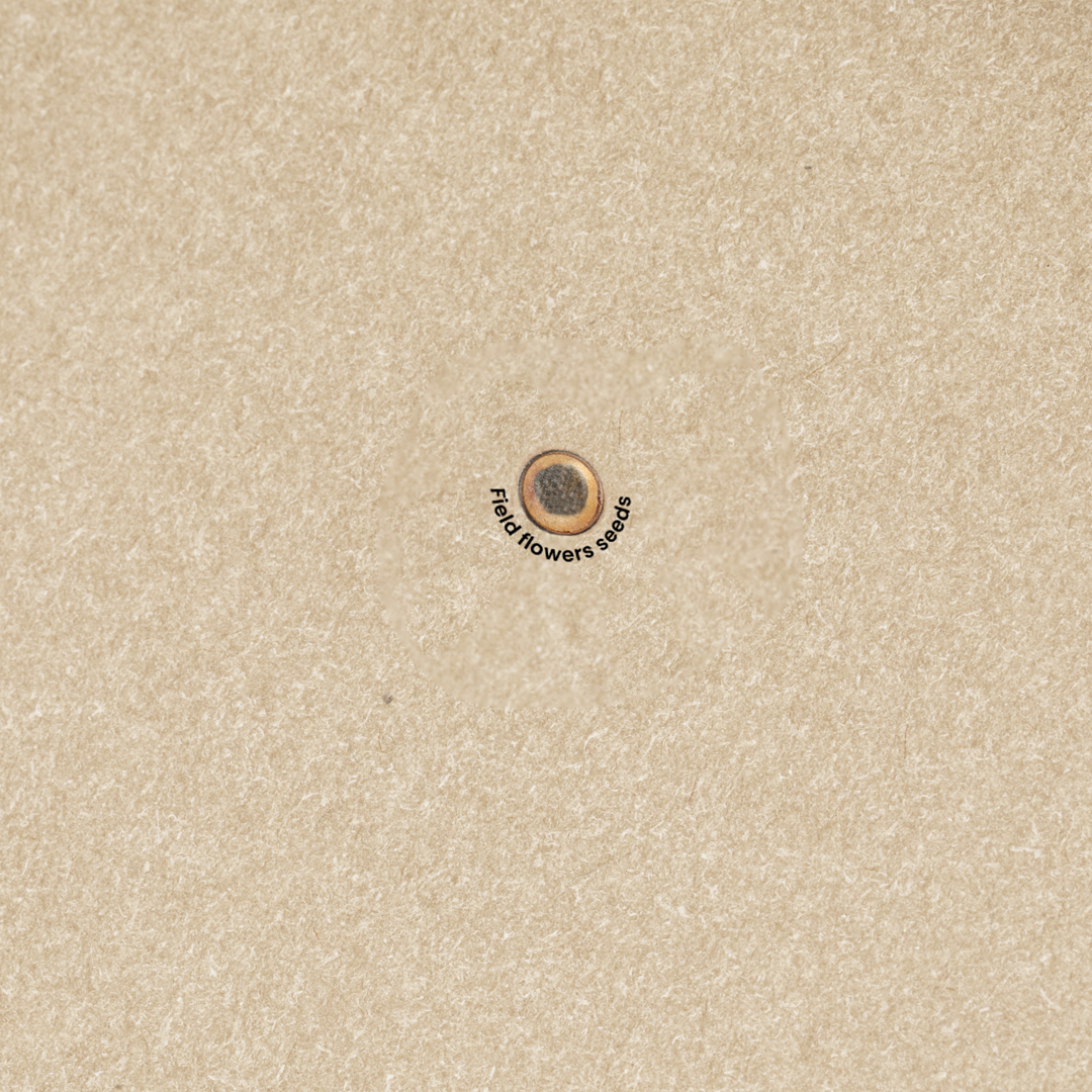 Immagine Bloc-Notes con Semi Baupres