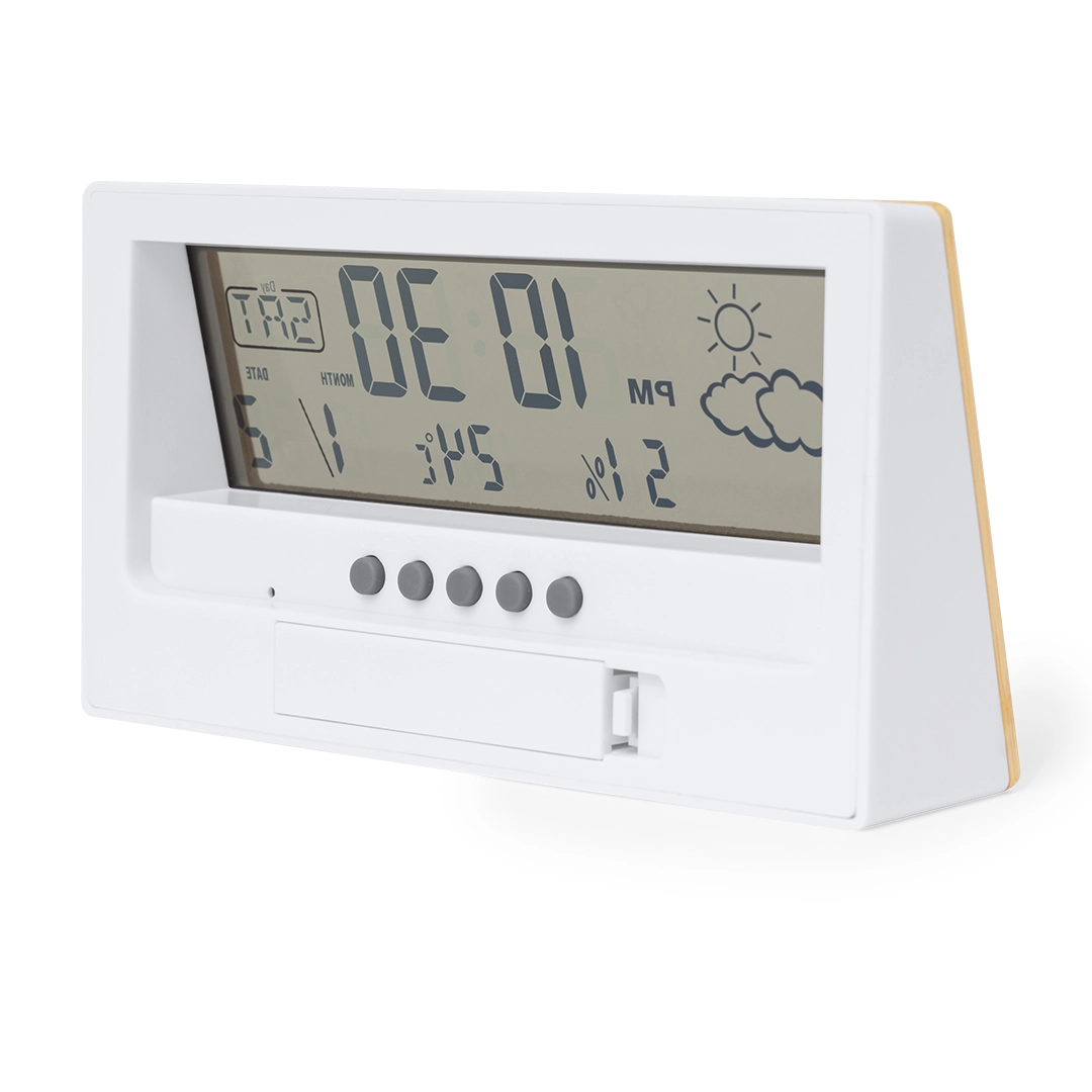 Immagine Stazione Meteorologica Roamer