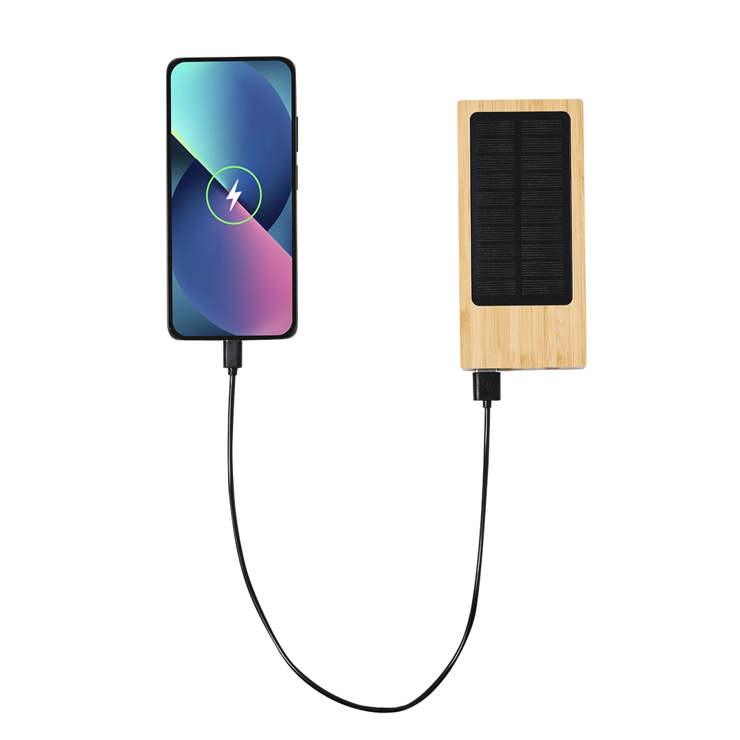 Immagine Power Bank Molden