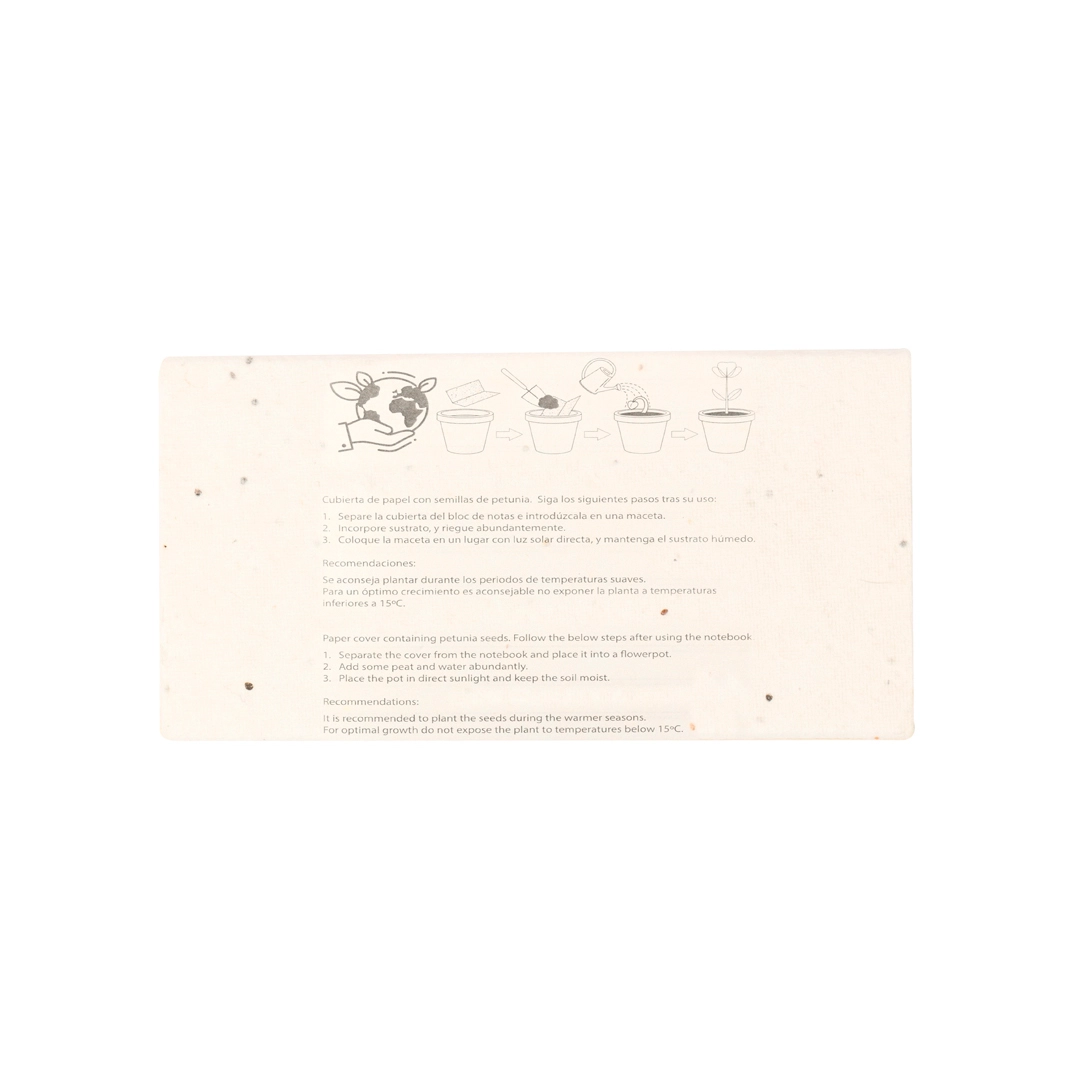 Immagine Set Matite con Semi Delar