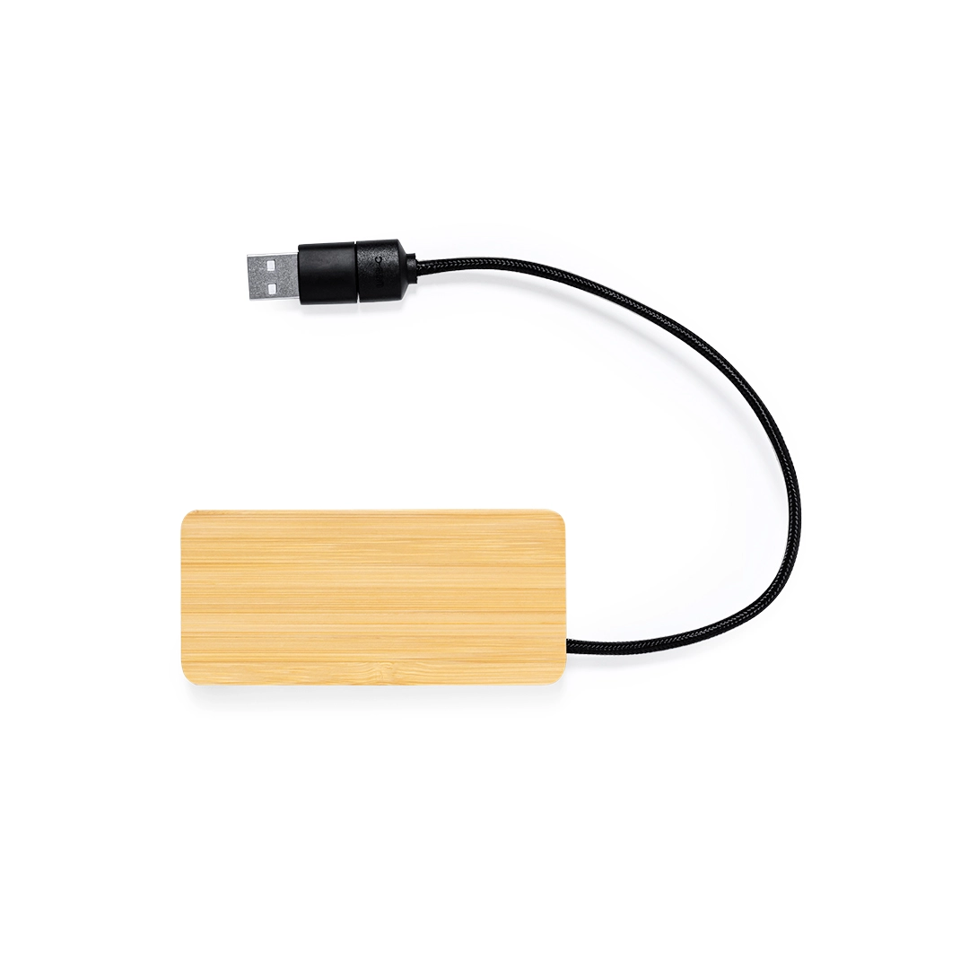 Immagine Porta USB Ginger