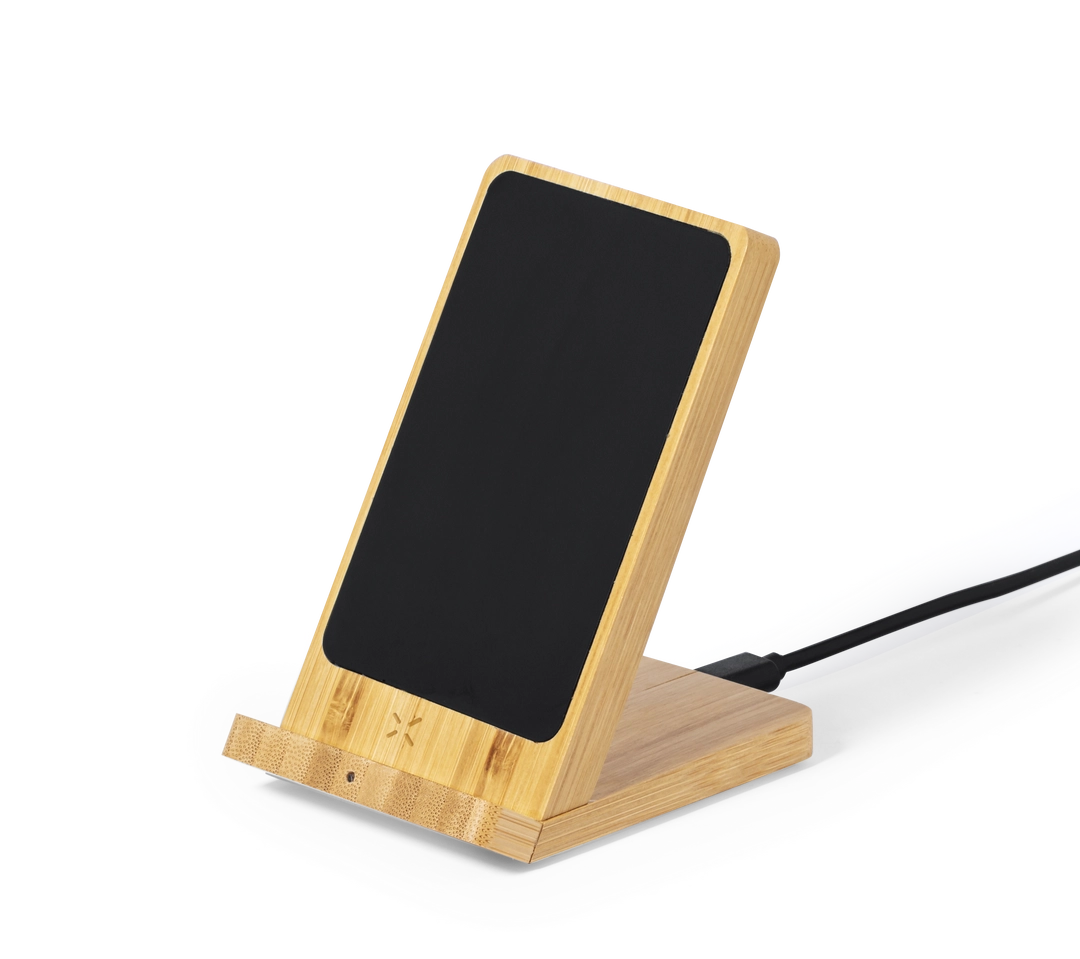 Immagine Caricatore Steward