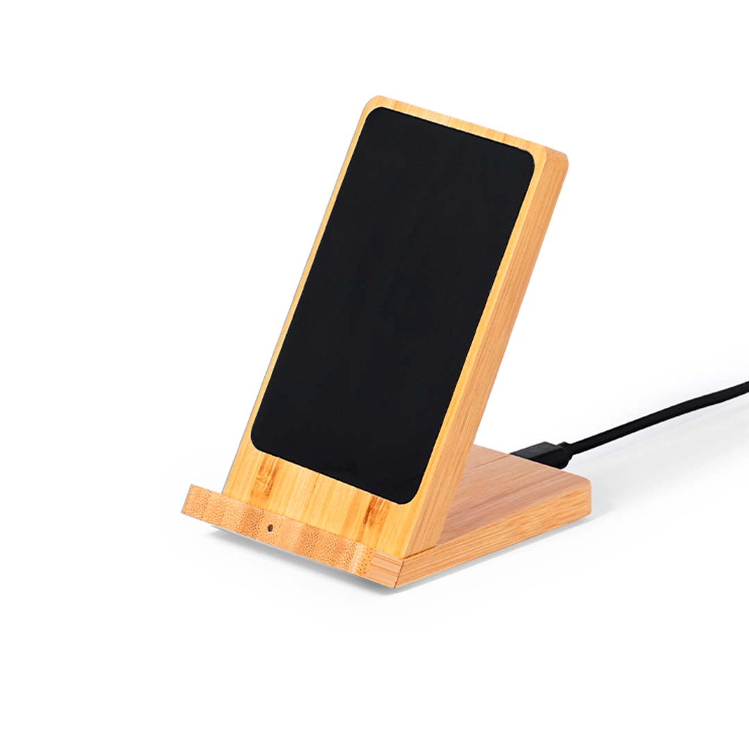 Immagine Caricatore Steward