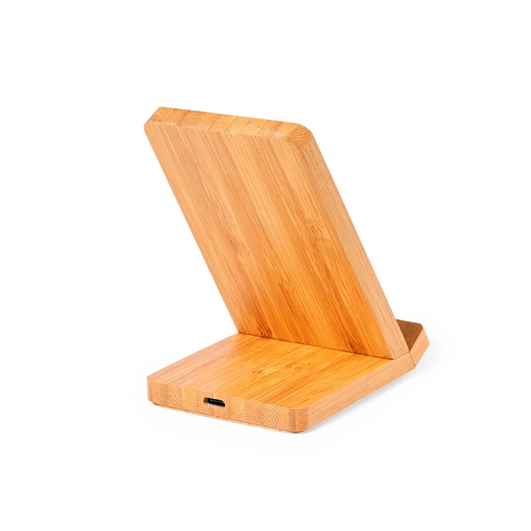 Immagine Caricatore Steward