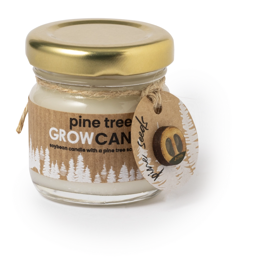 Immagine Candela Aromatica Lisa